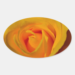Sticker Ovale Elégante photo de Rose Jaune