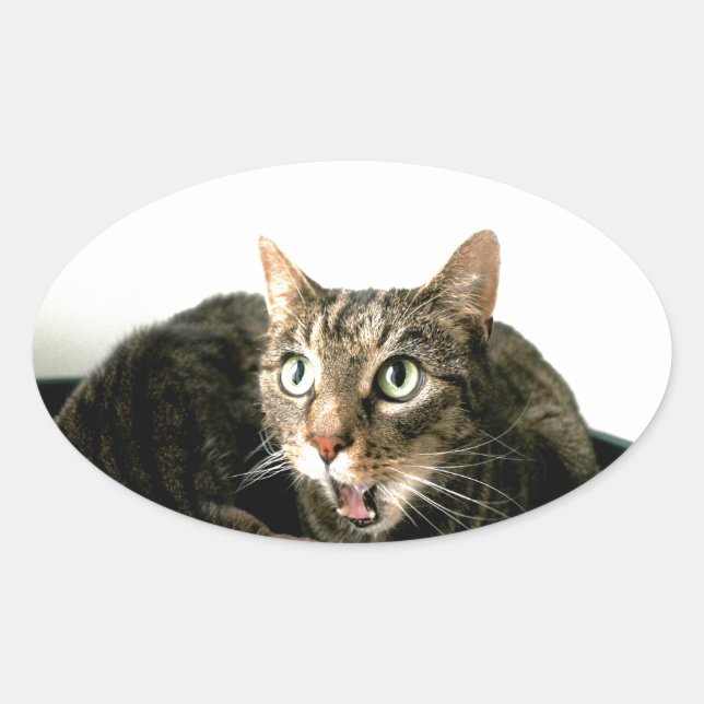 Sticker Ovale Elvis (Devant)