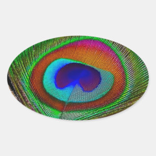 Sticker Ovale Feather Vibrant Copper