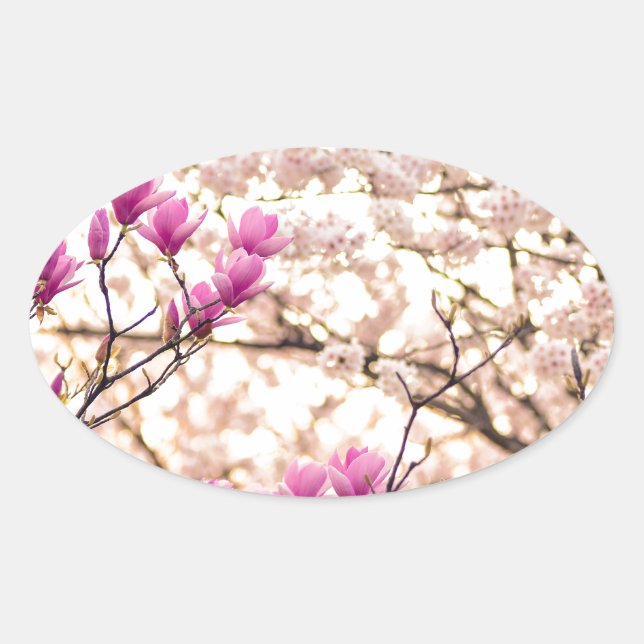 Sticker Ovale Fleur de printemps rose pourpre en floraison (Devant)