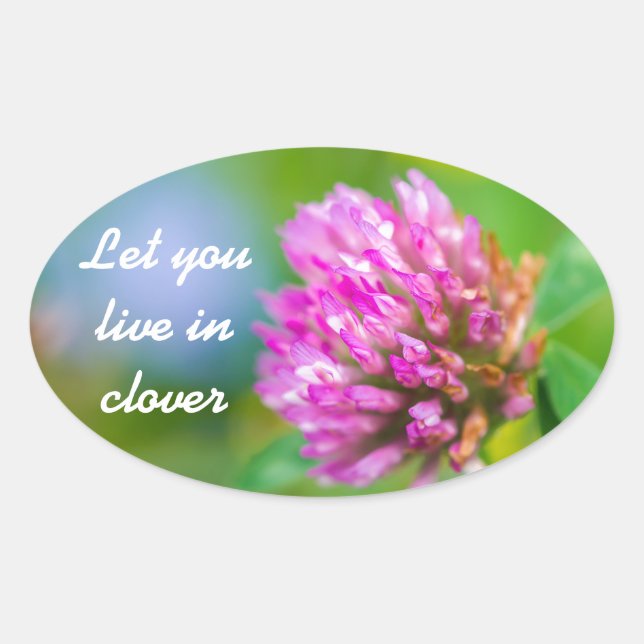 Sticker Ovale Fleur de trèfle rose (Devant)