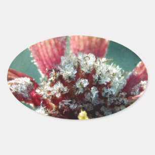 Sticker Ovale Fleur gelée