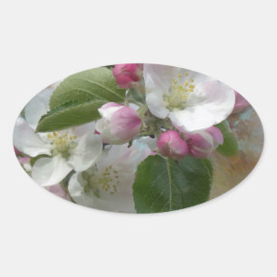 Sticker Ovale Fleurit de l'arbre Apple