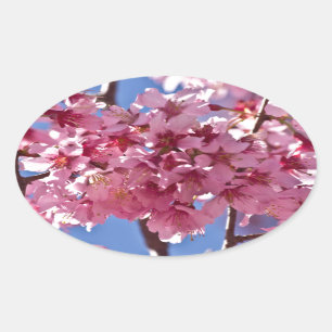 Sticker Ovale Fleurs de cerisier Sakura Étoiles rouges