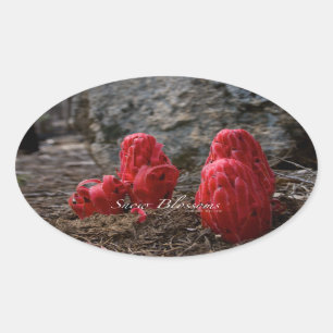 Sticker Ovale Fleurs de neige