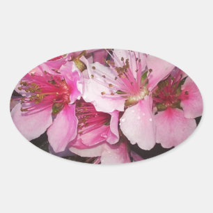 Sticker Ovale Fleurs de pêche