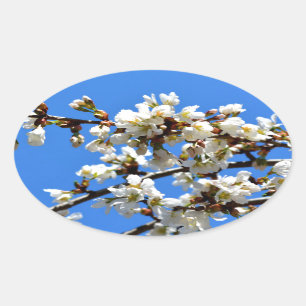 Sticker Ovale fleurs de printemps
