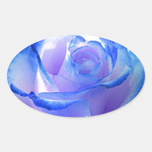 Sticker Ovale fleurs vignes pétale rose fleurs fleur bleu amour