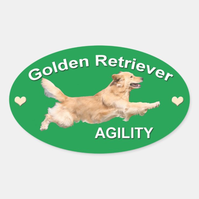 Sticker Ovale Golden Retriever Agility Decal (Devant)