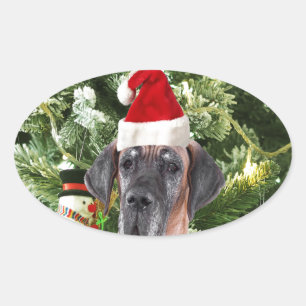 Sticker Ovale Grand Danois avec boîtes cadeaux de sapin de Noël 