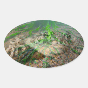 Sticker Ovale Grenouille verte