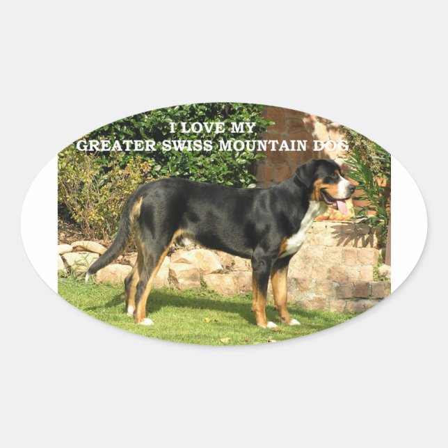 Sticker Ovale gsmd love w pic (Devant)