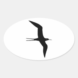 Sticker Ovale Guerre d'O d'homme (frigatebird magnifique)