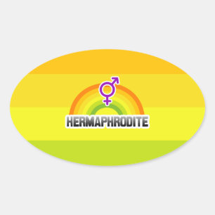 STICKER OVALE HERMAPHRODITE RAINBOW