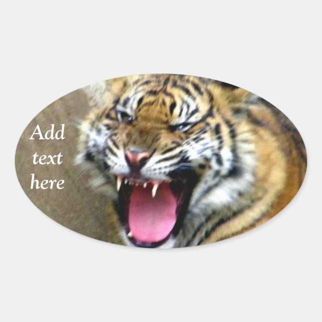 Sticker Ovale Hey_ (Devant)