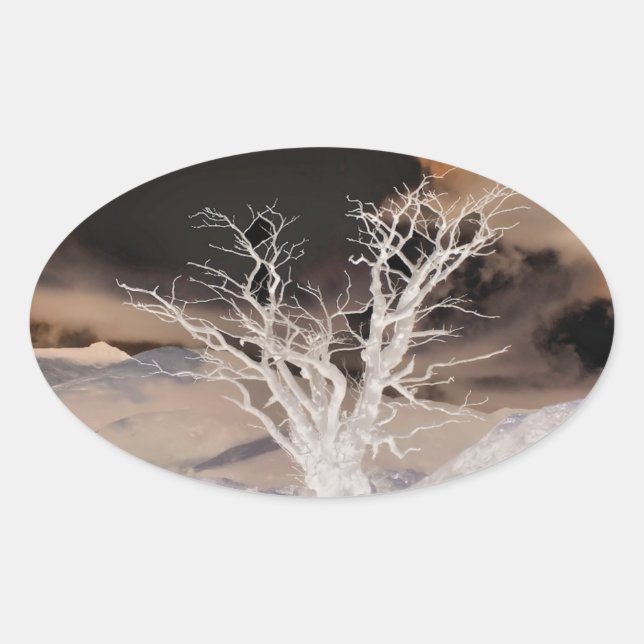 STICKER OVALE HIVER DE LA MONTAGNE (Devant)