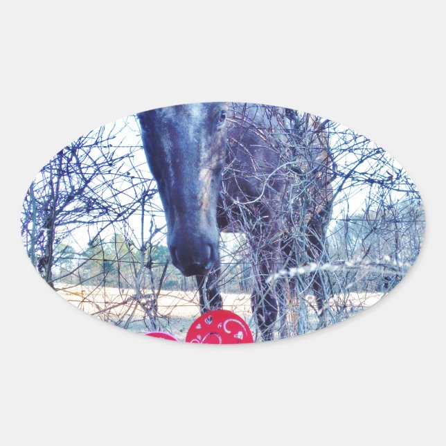 Sticker Ovale Horse et heart (Devant)