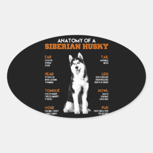 Sticker Ovale Husky Anatomie Des Chiens Husky Sibériens