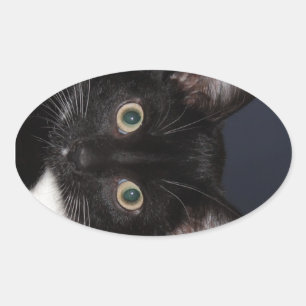 STICKER OVALE I LUV KATZ