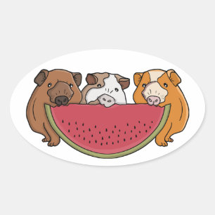 Sticker Ovale Illustration des Cochons de Guinée et de la pastèq