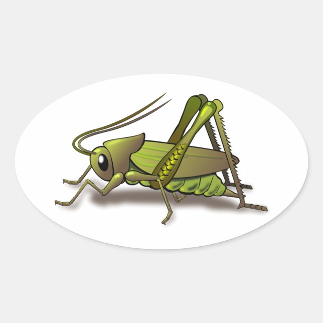 Sticker Ovale Insecte verte au cricket (Devant)