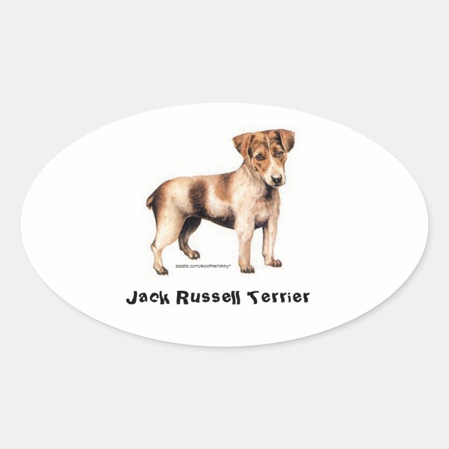 Sticker Ovale Jack Russell Terrier (Devant)