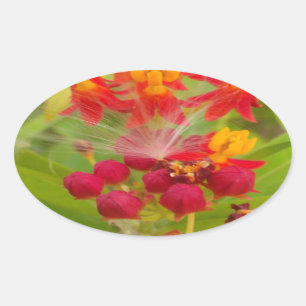 Sticker Ovale Jolie florale colorée avec Milkweed Art Imprimer