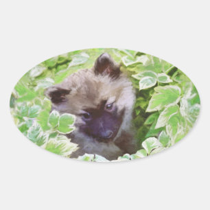 Sticker Ovale Keeshond Puppy in the Garden Peinture Art original