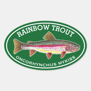 Sticker Ovale La Belle Truite Arc-en-ciel