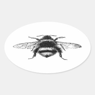Sticker Ovale Le classique gaffent l'abeille