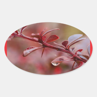 Sticker Ovale leafy red