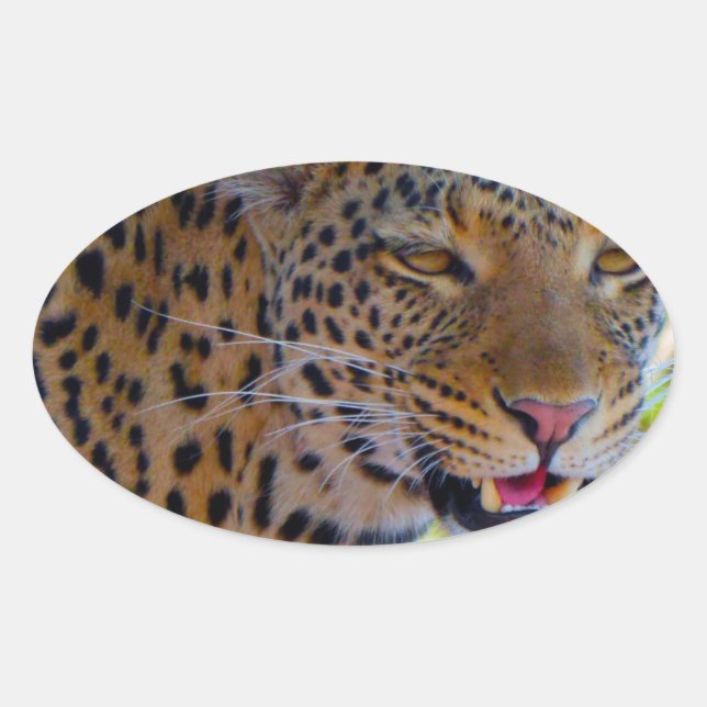 Sticker Ovale Leopard tacheté (Devant)