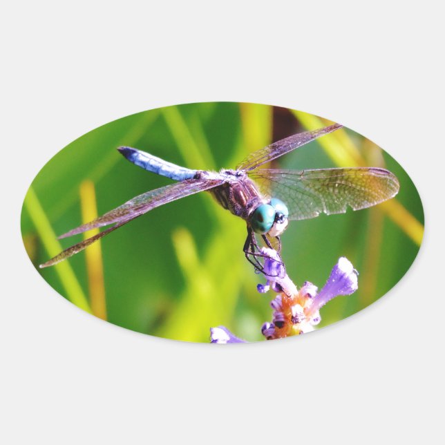 Sticker Ovale libellule turquoise et violette (Devant)