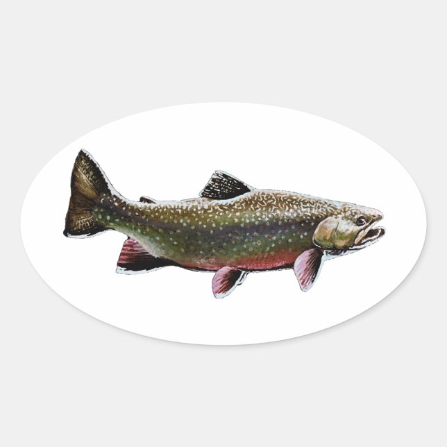 Sticker Ovale Logo de l'omble de fontaine (natation) (Devant)
