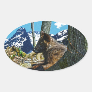Sticker Ovale Loup noir de montagne reposant par les arbres Art 