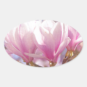 Sticker Ovale Magnolia rose-pourpre en floraison - Fleur de prin