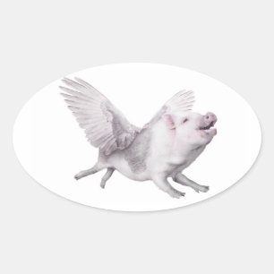 Sticker Ovale Miracles Possibilité Joy Flying Pigs When Pigs Fly