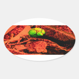 Sticker Ovale mosquitus