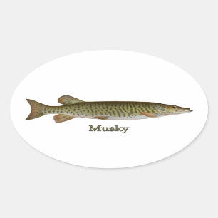 Sticker Ovale Musky (muskellunge)