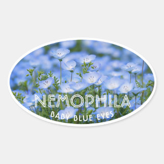 Sticker Ovale NEMOPHILA(Baby Blue Eyes)