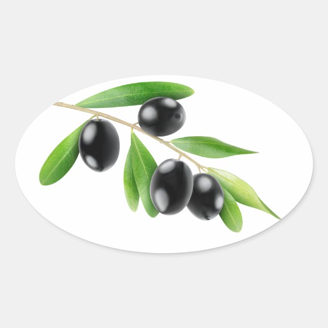 Sticker Ovale Olives noires sur une branche (Devant)