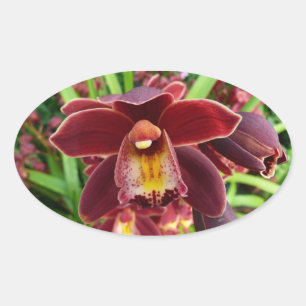 Sticker Ovale Orchidées de Maroon I Beau Floral Rouge