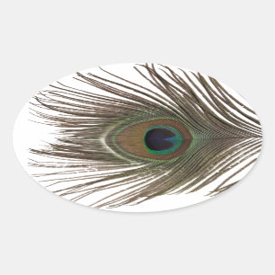 Sticker Ovale Oval de plumes de paon