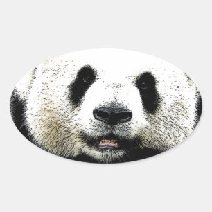 Sticker Ovale Panda