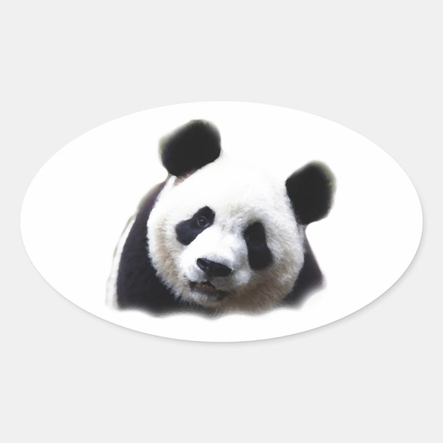 Sticker Ovale Panda (Devant)