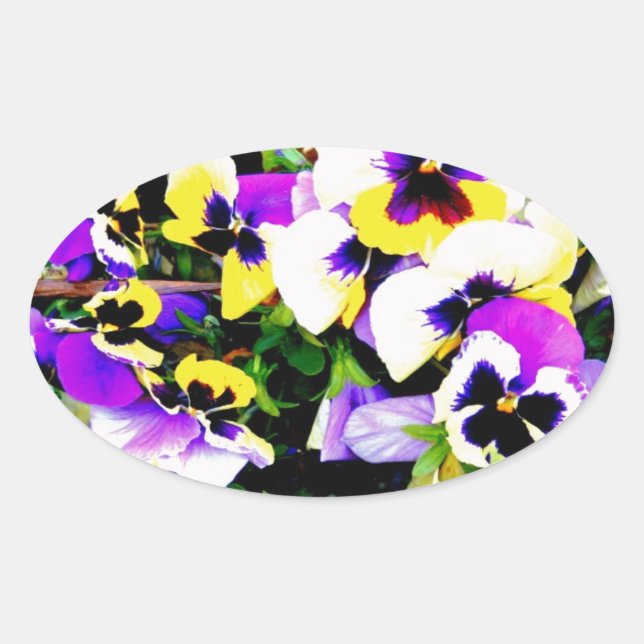 Sticker Ovale pansy flowers (Devant)