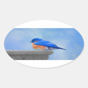 Sticker Ovale Peinture Bluebird - Art original pour oiseaux