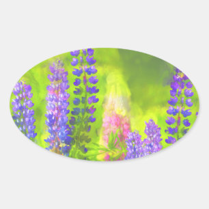 Sticker Ovale Peinture Lupine - Art Fleur Original