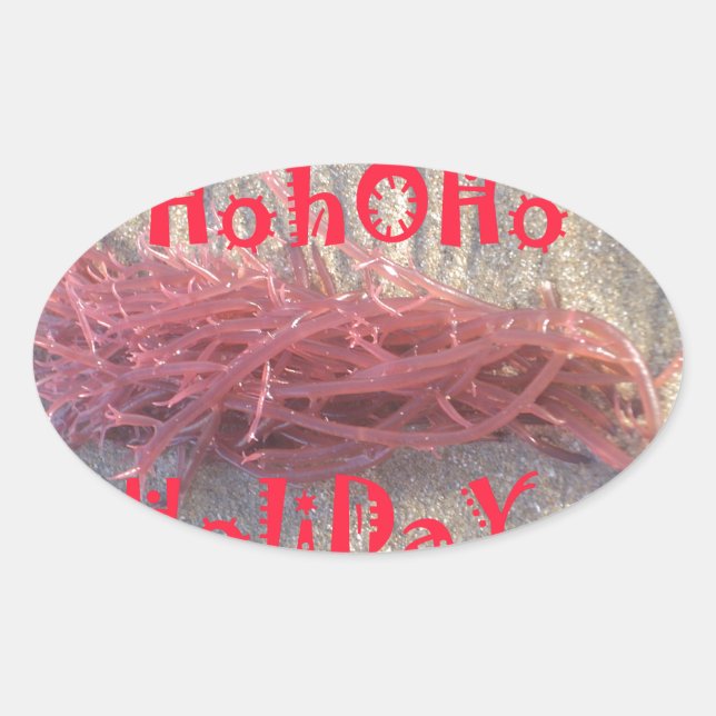 Sticker Ovale Père Noël HoHoHo Joyeux Noël des couleurs de la pl (Devant)