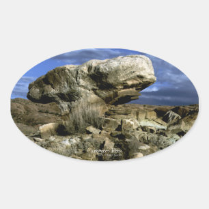 Sticker Ovale Photo couleur roche de champignons